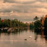Fall Series_swans and ducks_Ayr_10x20_2200pxw_8995